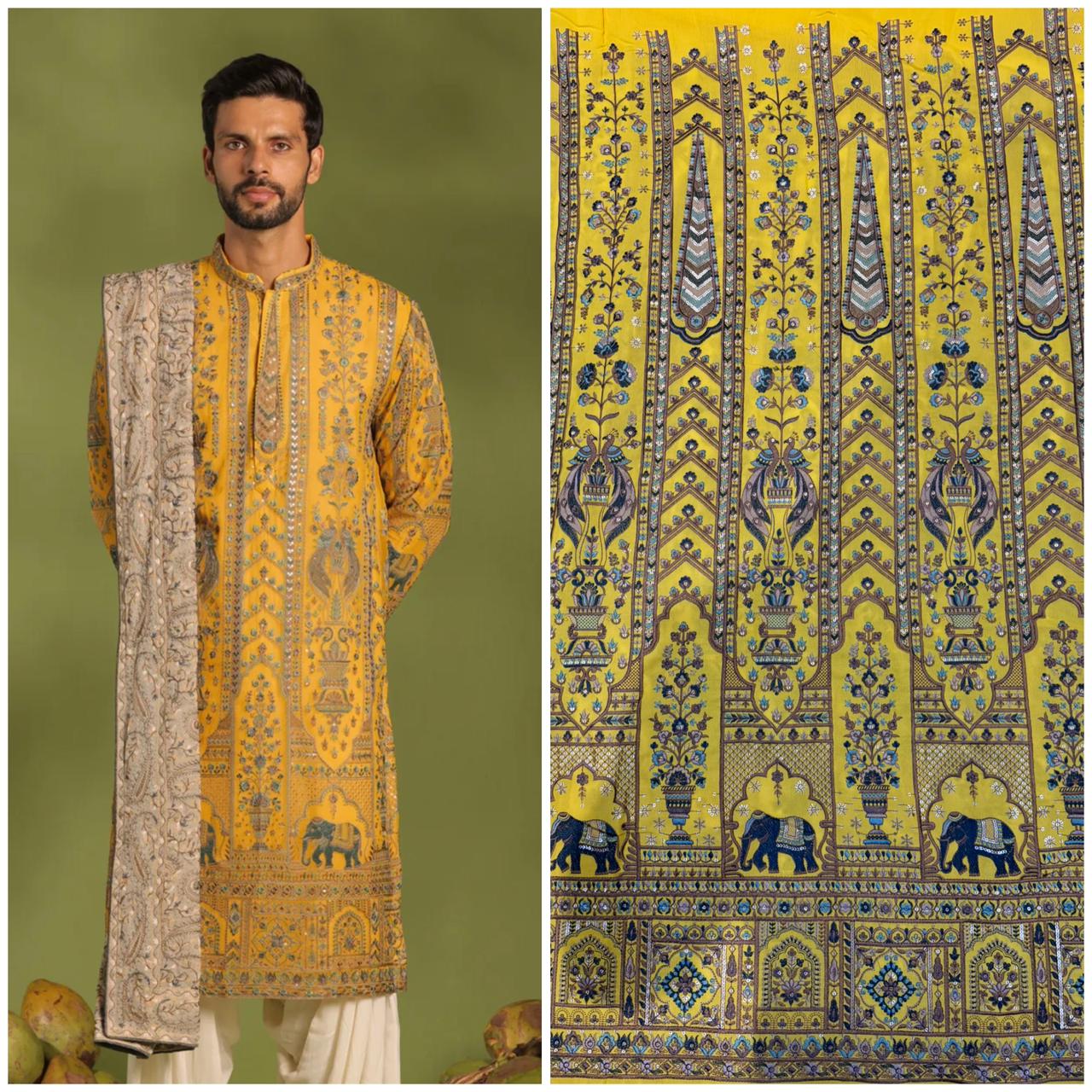 Ethereal Elegance Kurta -